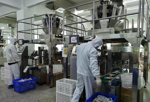 創二代攜手，從燈箱布到休閑食品帝國的轉型之路